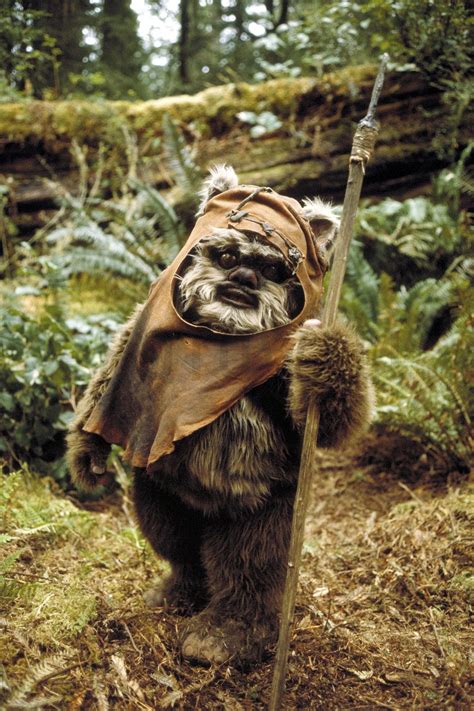 ewok photos